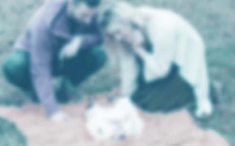 С�W���°ְ֋����ĸ��x��