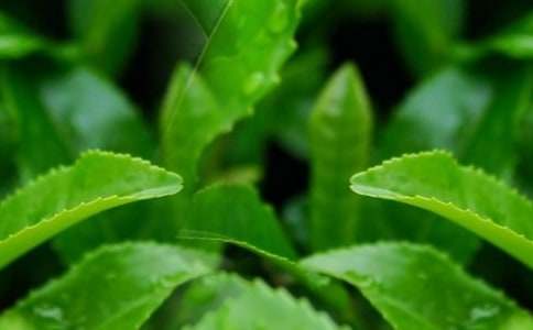 ���~��ُ(g��u)��ͬ10ƪ