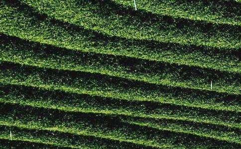 �P(gu��n)�ڲ��~ӆُ��ͬ��ƪ