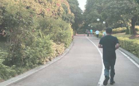 �����t���zӑ��(�R��15ƪ)