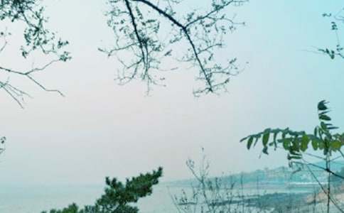 便民辦稅春風行動總結