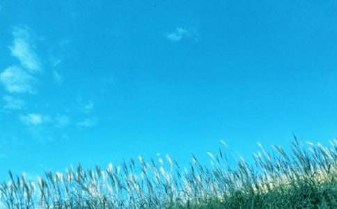 ���L�Є���r���Y(ji��)