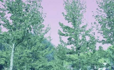 ���L(f��ng)�Єӹ������Y(ji��)15ƪ���]��