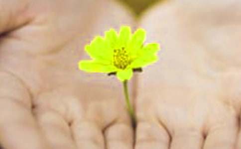 ��Ǹ��������Ȧ��ȫ60��