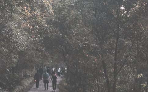 ��ɽͽ����Ӳ߄���