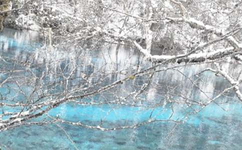 �������ᱣ�ϵĹ�������