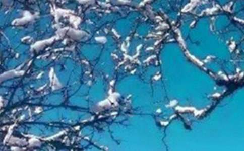 ���칤�����Y(ji��)����