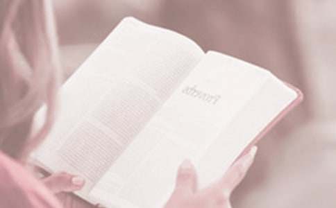 �����x���ջ�Ӳ߄�����