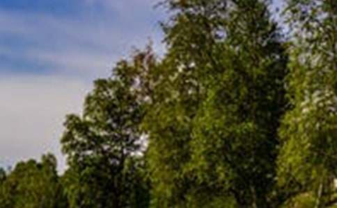 風(fēng)景房出租合同