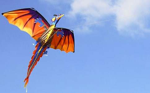 放飛風(fēng)箏放飛夢(mèng)想活動(dòng)策劃書