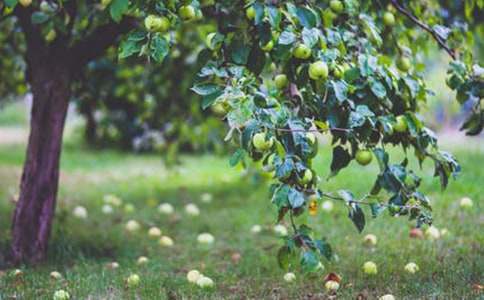 ���˹��@�а���ͬ