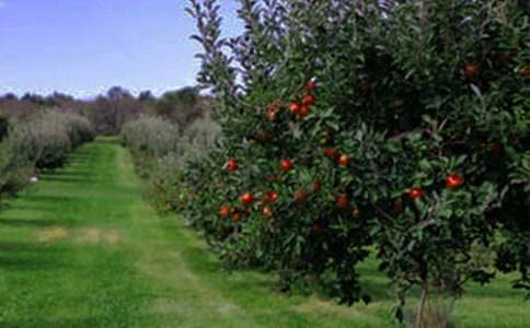 ���@�D(zhu��n)׌��ͬ���\15ƪ