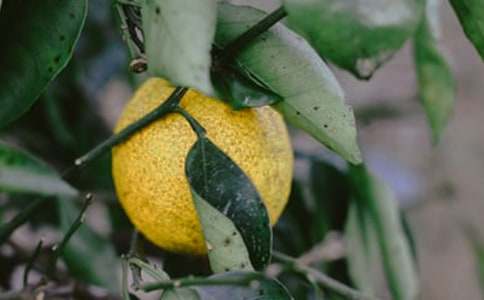 ���@�D(zhu��n)��f(xi��)�h��ͬ����