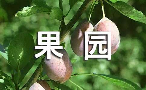 農(nóng)村果園承包合同范本