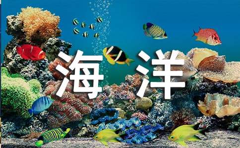呼吁愛護(hù)海洋的建議書