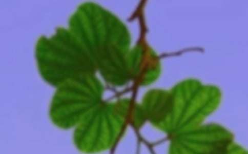 ���C����(w��)�f(xi��)���W(xu��)�ڹ������Y(ji��)