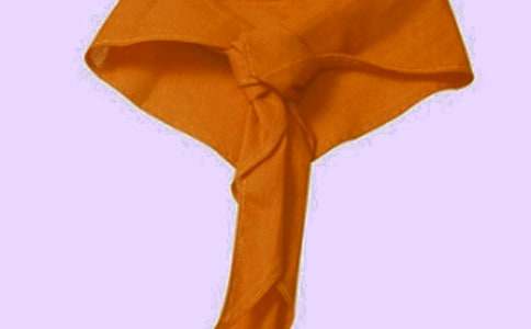 小學(xué)生升旗未帶紅領(lǐng)巾檢討書