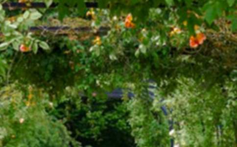 ���@���A�ۺ�ͬ��