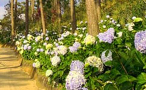 ���@�󷿳����ͬ��ͨ�á�