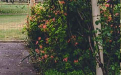 ���@�󷿳����ͬ