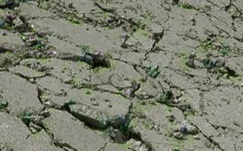 混凝土實(shí)習(xí)報(bào)告優(yōu)秀(15篇)