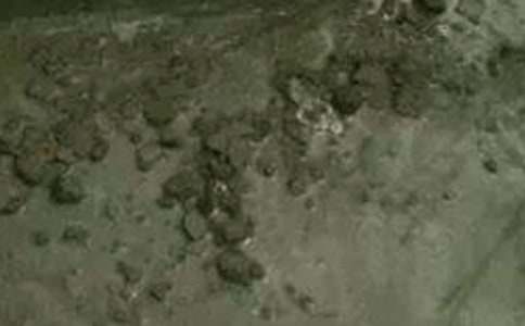 ������ُ�N��ͬ(��(y��u))