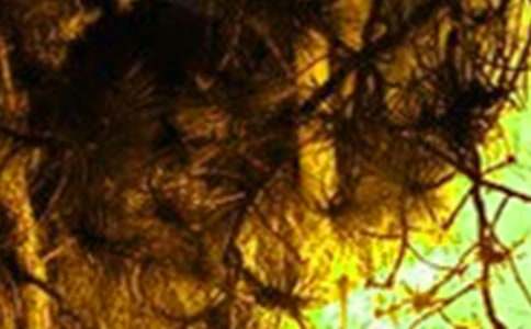 景區(qū)冬春火災防控工作方案