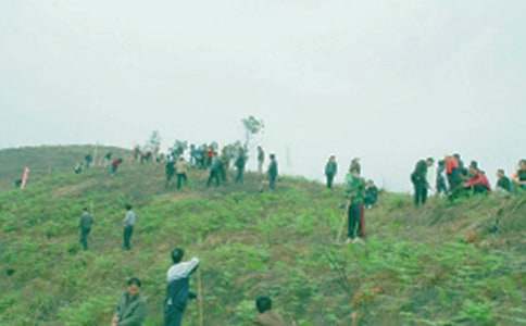 [ͨ��]������Ո��