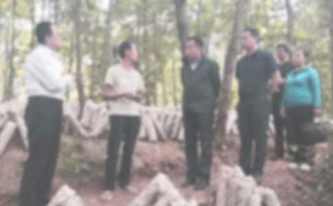 �W(xu��)���`�o(j��)�zӑ�����\15ƪ