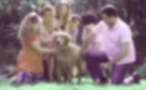 �����ϡ���ͥ��������Ӌ��