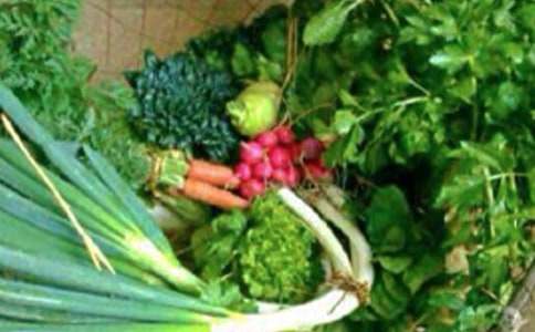 健康承諾書(精選20篇)