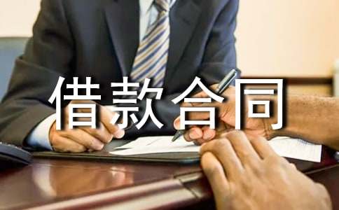 (精選)個人借款合同15篇