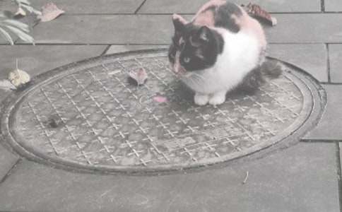 井蓋產(chǎn)品購(gòu)銷合同