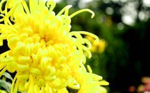 �ջ��Nֲ��ُ��ͬ