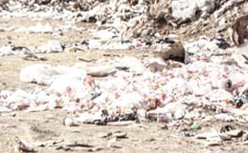 �y�������zӑ��(sh��)18ƪ