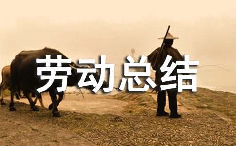 義務勞動總結(通用23篇)