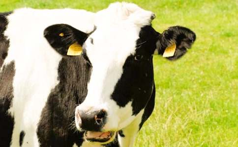 ��ţ�I�u��ͬ�f(xi��)�h