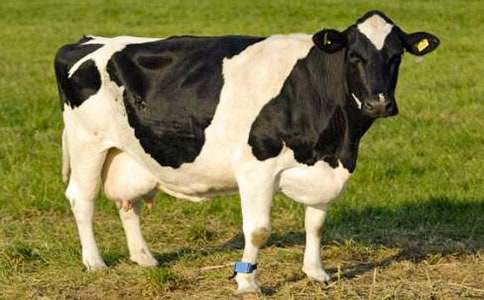 �ؑc����ţ����ӆُ��ͬ