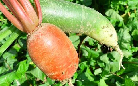 �r�Ҙ��߄�����