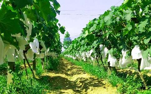 �r(n��ng)�Ҙ��߄���15ƪ