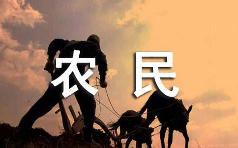 (精華)農(nóng)民工工資承諾書