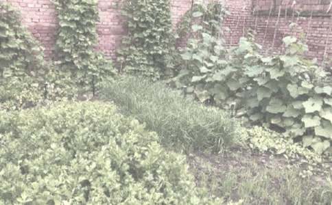 �r(n��ng)����N��ُ�N��ͬ�\��[9ƪ]