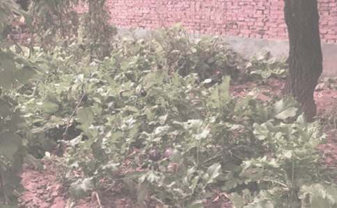 �r(n��ng)����ӆُ�f(xi��)�h�޻�