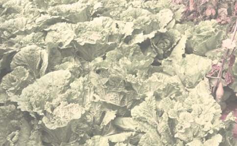 �P(gu��n)���r(n��ng)����N��ͬ�����\��6ƪ