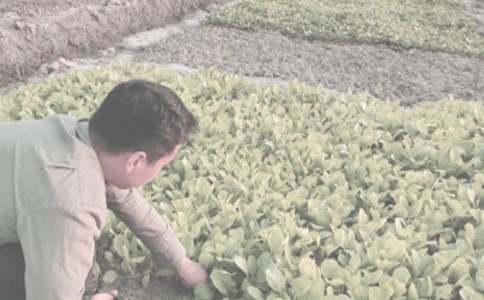 �r(n��ng)���r(n��ng)����ُ(g��u)�N��ͬ