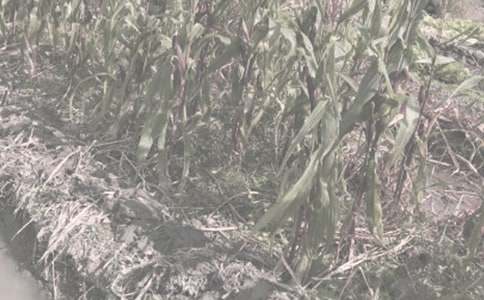 �r(n��ng)����N��ͬ���\10ƪ