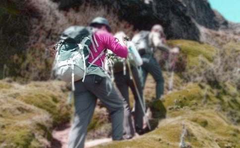 �P����ɽ��ӵĲ߄���