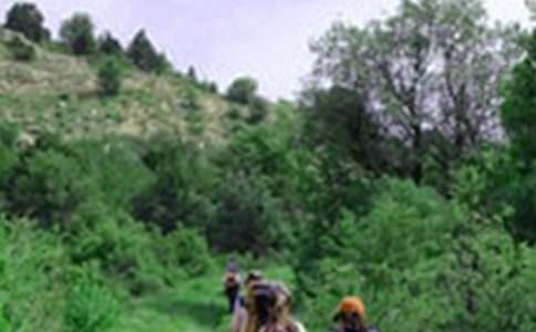 ��W(xu��)����ɽ��Ӳ߄���