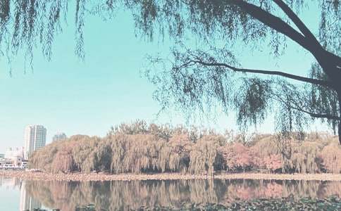 С���＾�W(xu��)�ڹ���Ӌ�����ã�8ƪ��