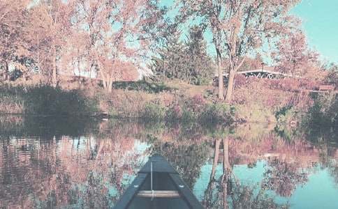 秋季森林防火工作方案19篇